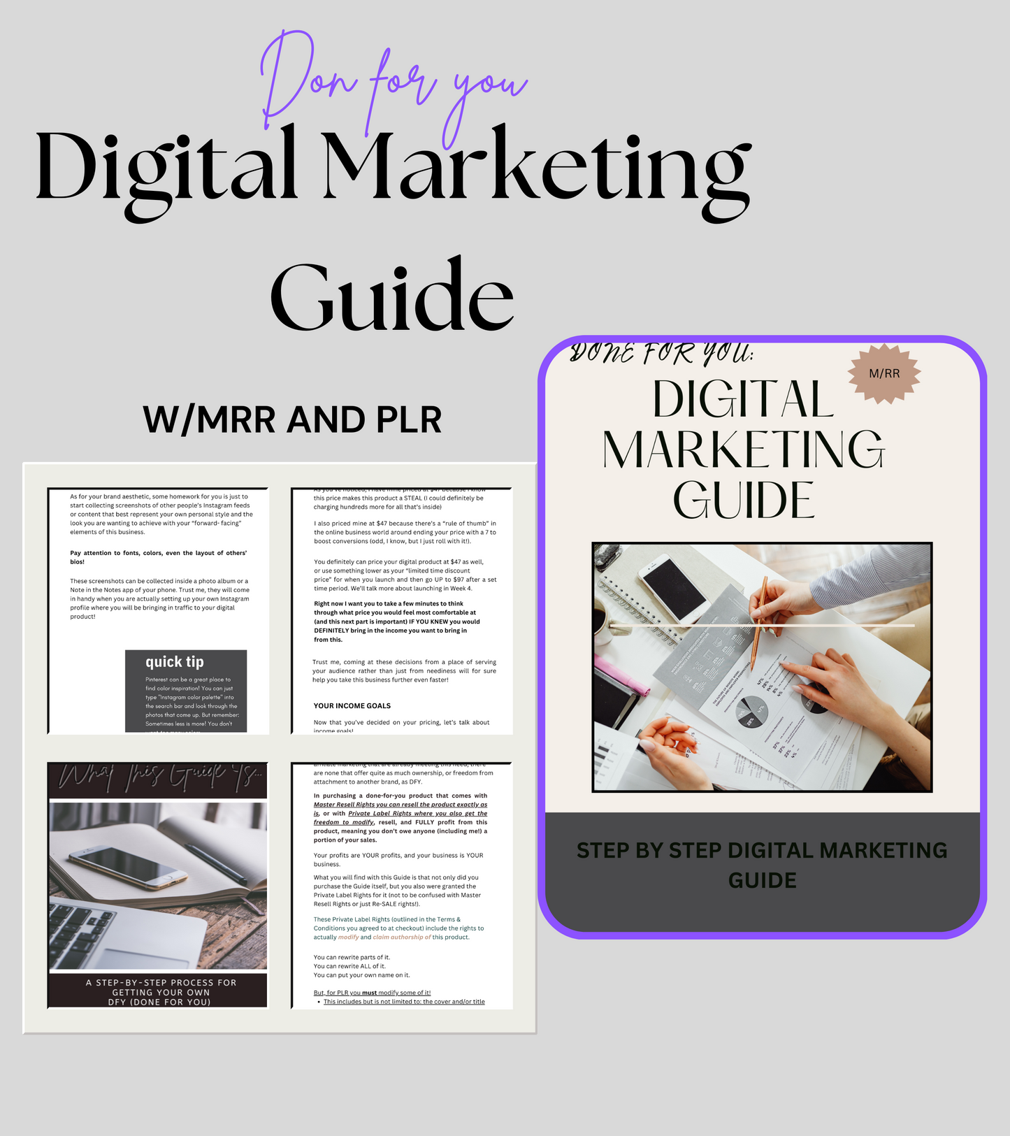 Digital Marketing Guide: Done for you w/MRR and PLR