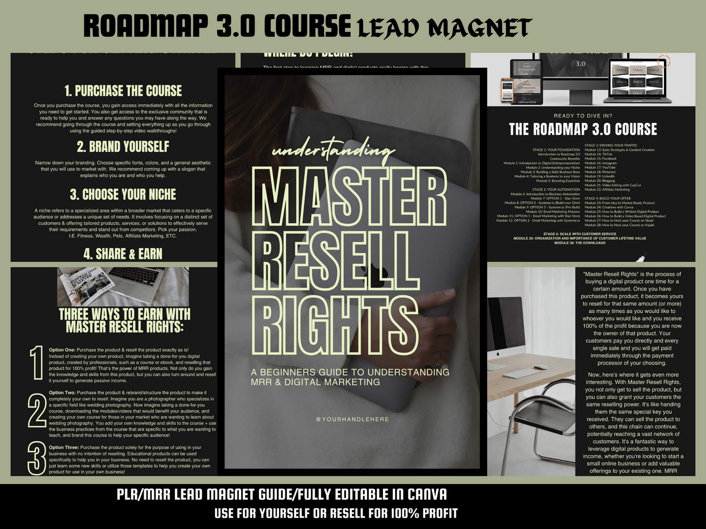 roadmap 3.0 lead magnet master resell course